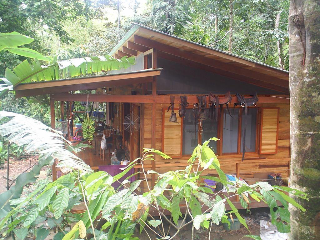 El Tucan Jungle Lodge Puerto Viejo de Talamanca Cameră foto